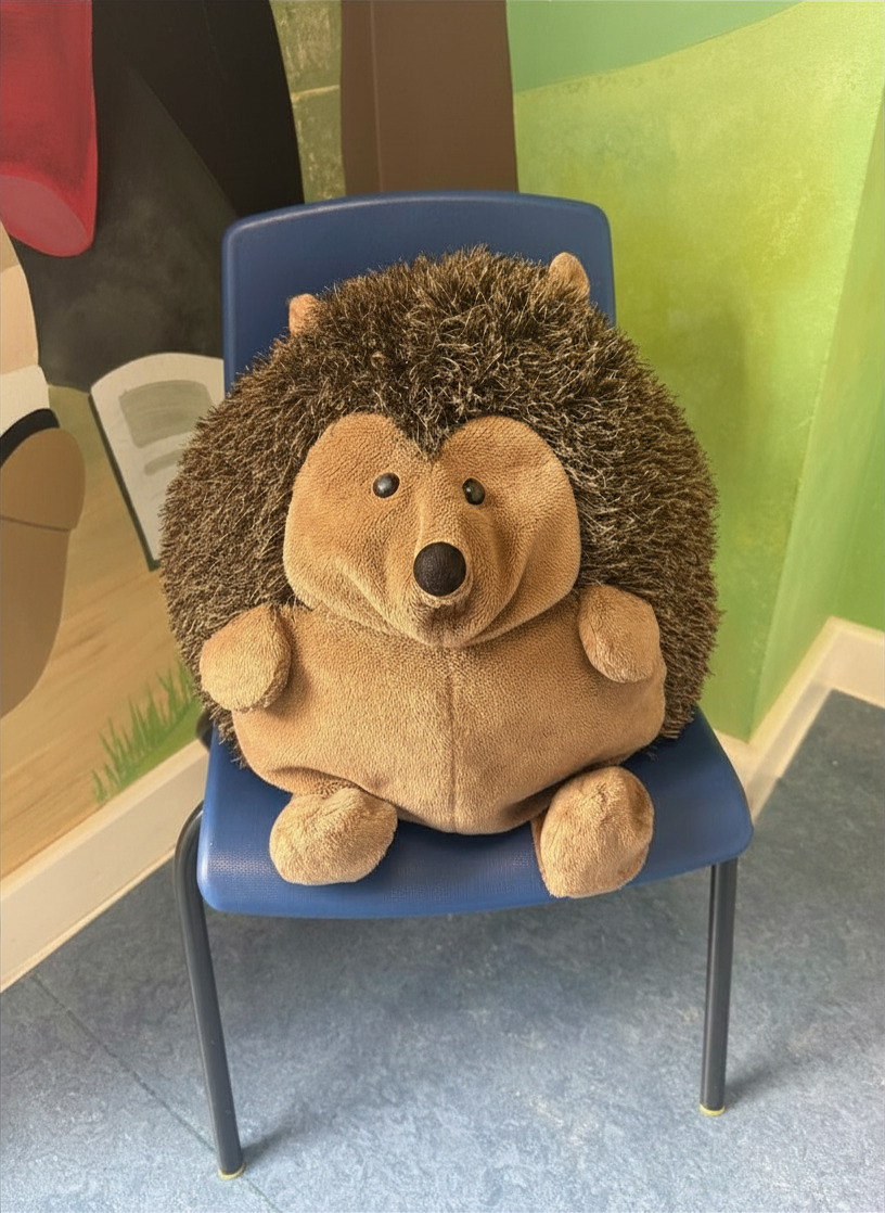 Harry the Hedgehog